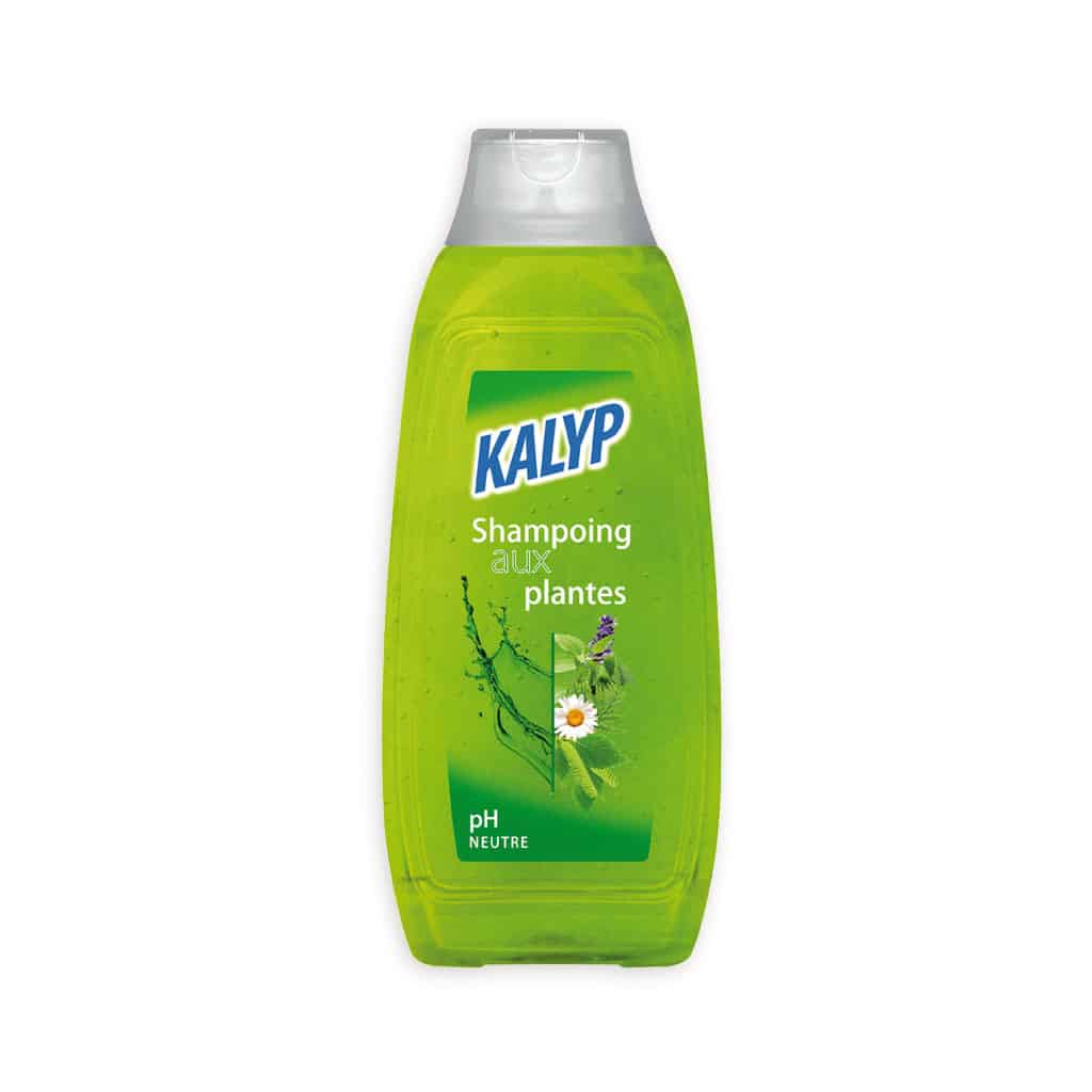 Shampoing 500ml, plantes