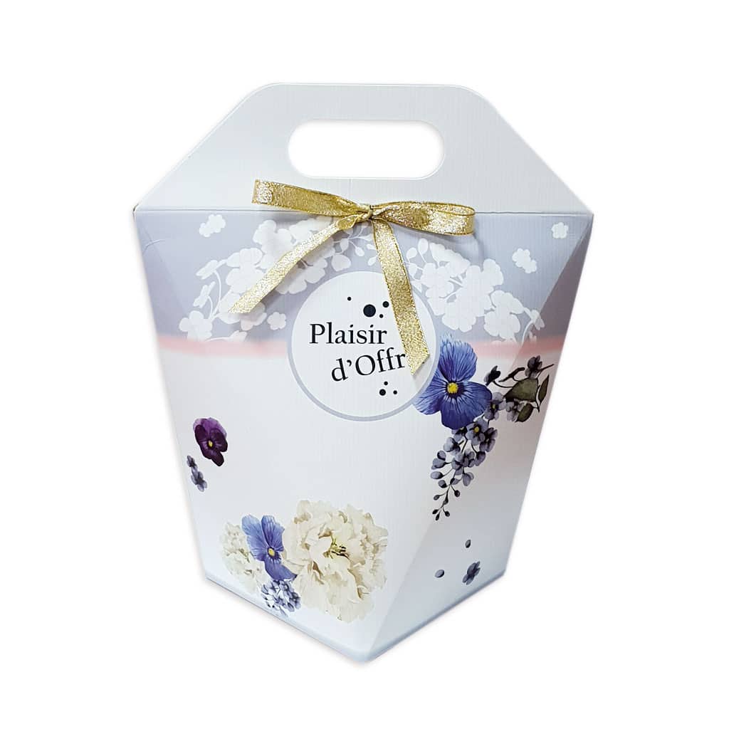 nouveau-boitage-pour-femme – Dissol